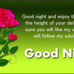 Good Night Messages for Lover