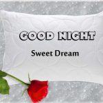Good Night Messages