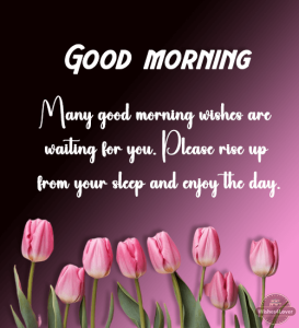 70+ Good Morning Messages, Quotes and Wishes